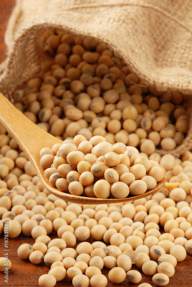 Soy beans on a wood spoon Soy beans on a wood spoon