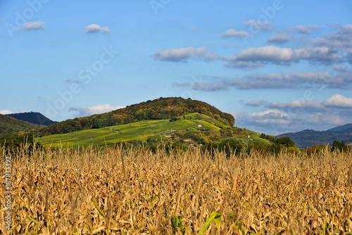 Baden-Württemberg - Breisgau photo