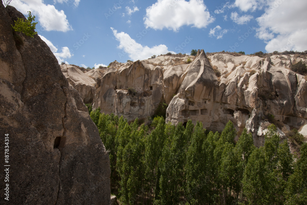 Fototapeta premium fairy chimneys,Cappadocia, Turkye