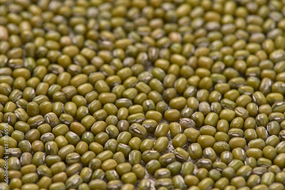 Many green beans. Cooking food. Neutral background Many green beans. Cooking food. Neutral background