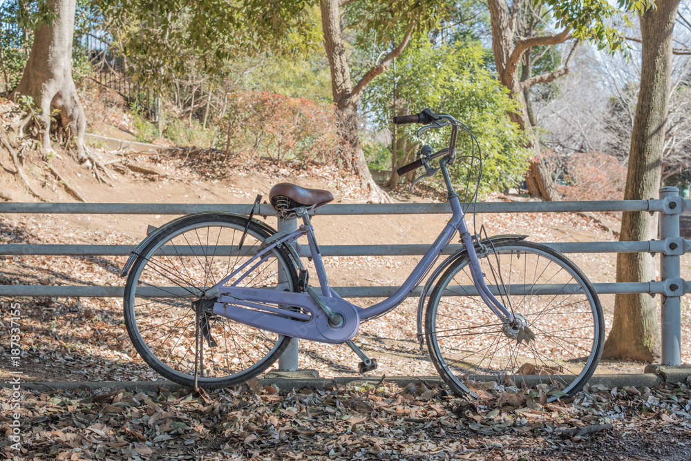 Fototapeta premium bicycle