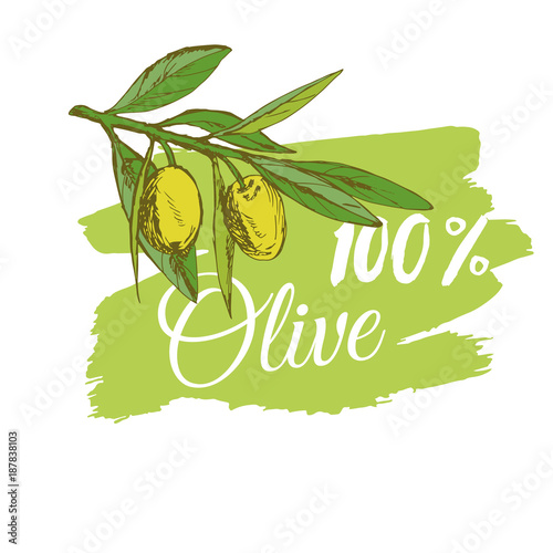 branch green olives, vector illustration hand-drawn logo of olives