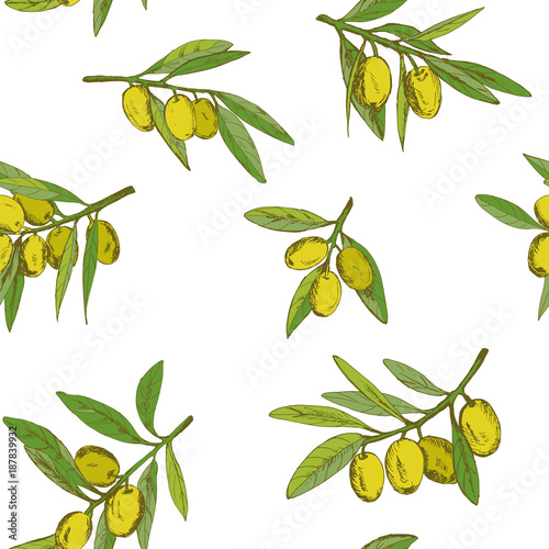 seamless pattern olives, hand-drawn olive fruits and branches