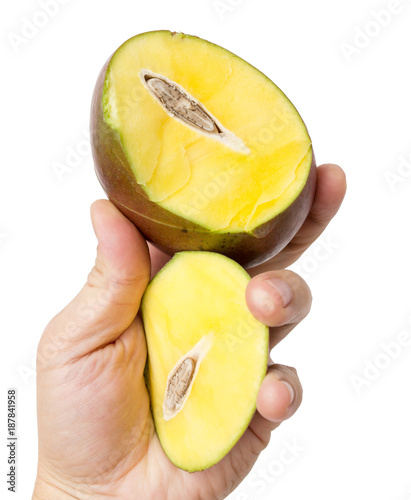 Mango in hand on a white background