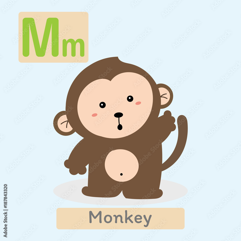 Fototapeta premium Cute animal alphabet. M letter. Cute Monkey.