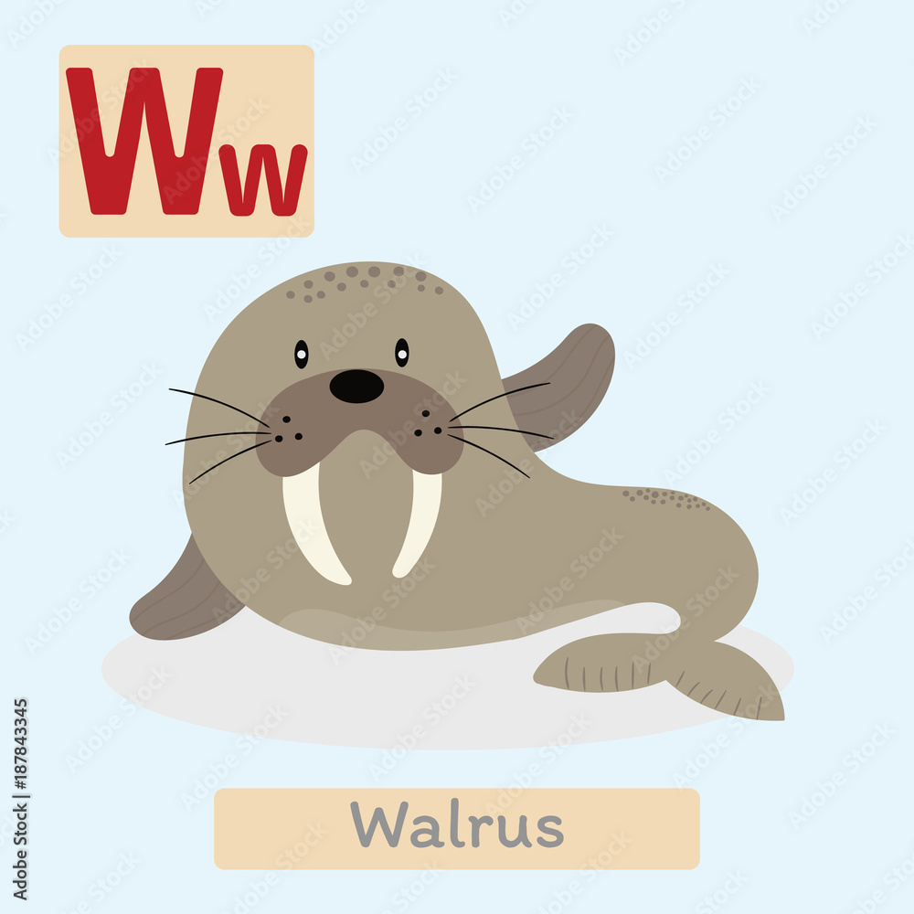 Cute animal alphabet. W letter. Cute Walrus. Stock Vector | Adobe Stock