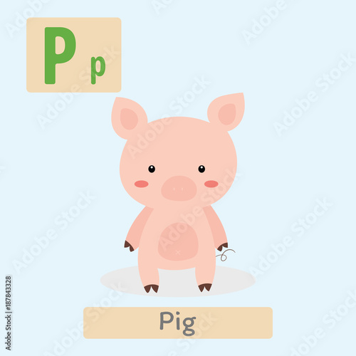 Cute animal alphabet. P letter. Cute Pig.