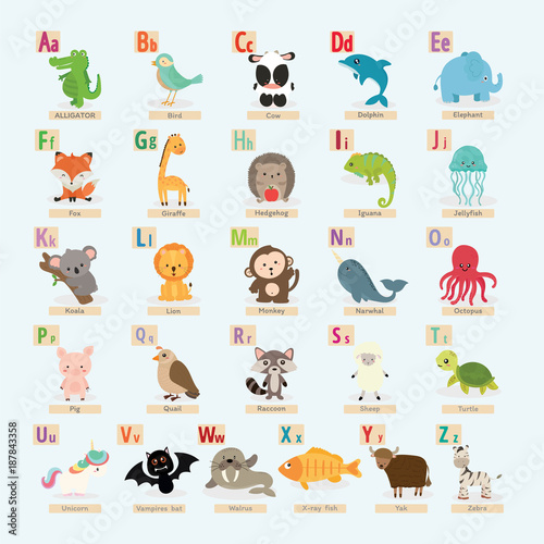 Fototapeta Naklejka Na Ścianę i Meble -  set of cute animal alphabet.