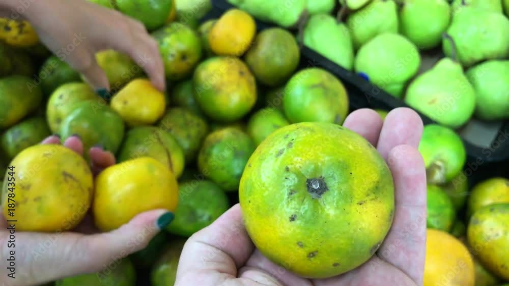 Man choosing Fresh green organic mandarins in the farmer supermarket in Asia. Man choosing Fresh green organic mandarins in the farmer supermarket in Asia.