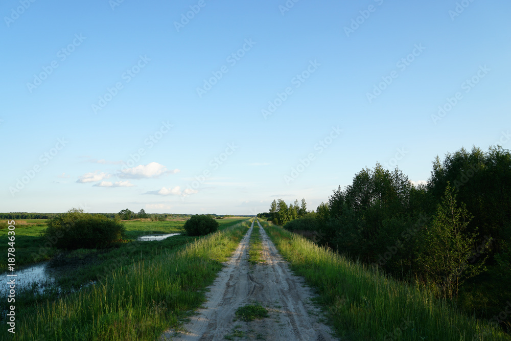 gravel road through wetlands