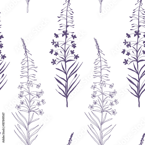Vector floral seamless pattern with hand drawn  summer wild  flowers.