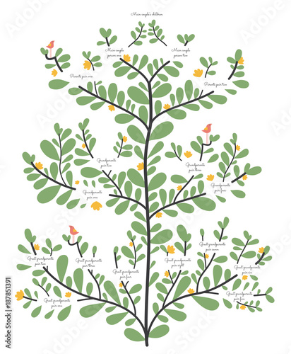 Family tree, ancestry line elegant organic illustrated vector template