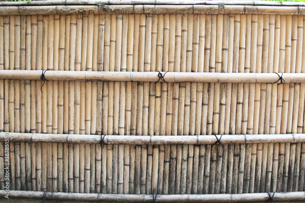 Bamboo wall in japan Bamboo wall in japan