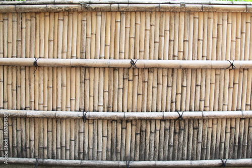 Bamboo wall in japan