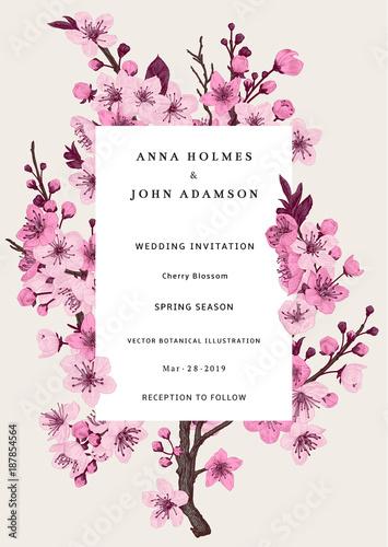 Sakura. Wedding invitation. Pink cherry blossom branch. Vector botanical illustration.