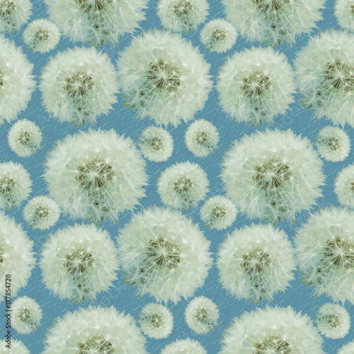 Dandelion fluffy flower. Seamless pattern. Illustration.