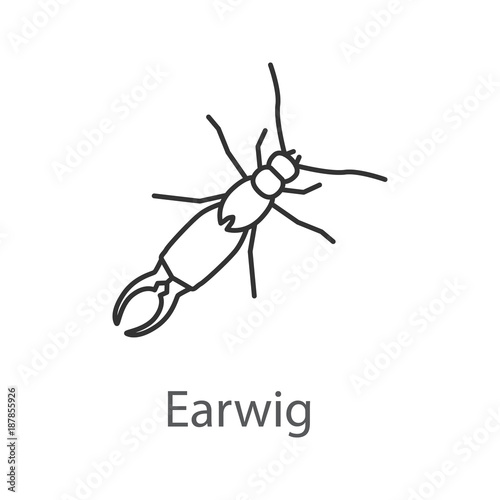 Earwig linear icon