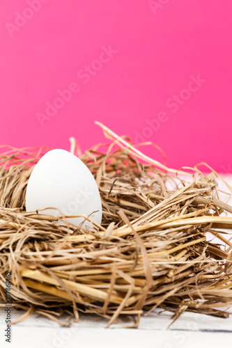 vitt ägg i ett fågelbo mot rosa bakgrund
