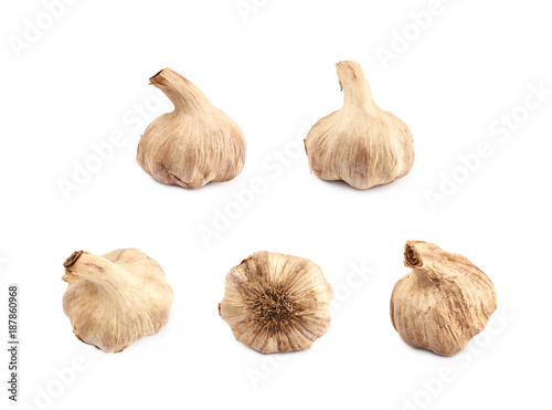 Dried garlic bulb isolated