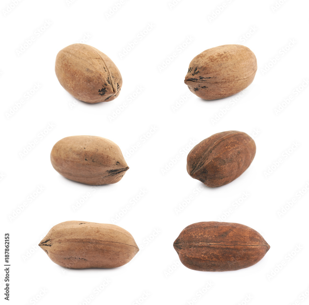 Single pecan nut isolated Single pecan nut isolated