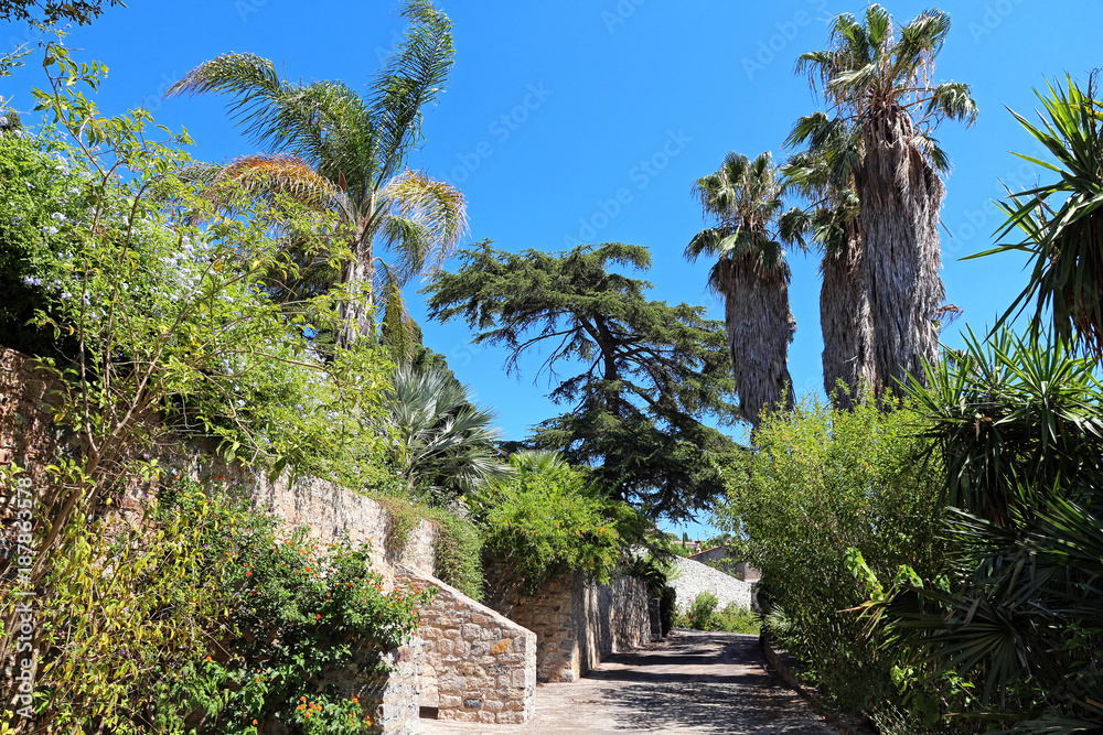 Obraz premium Hyères (FRANCE) - Parc Sainte-Claire