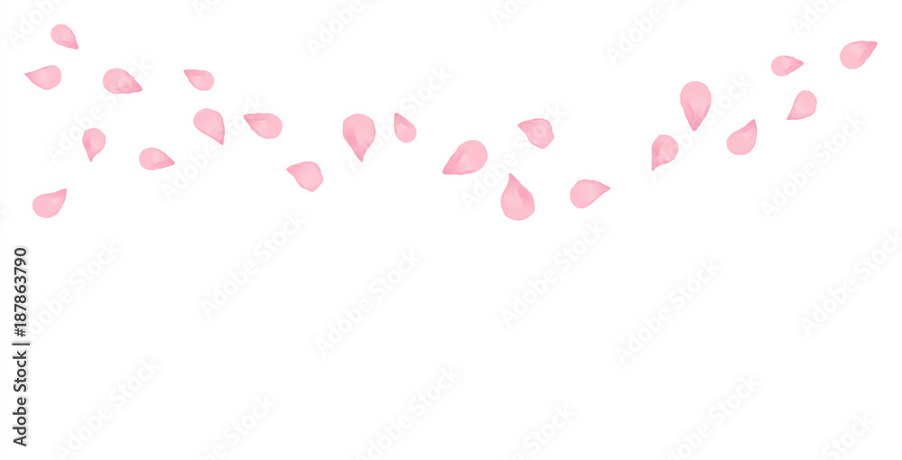 Light Pink flying petals isolated on white background. Sakura Roses petals. Vector