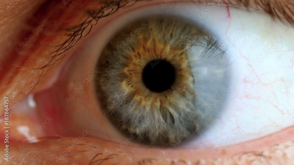 Extreme close up human eye.
