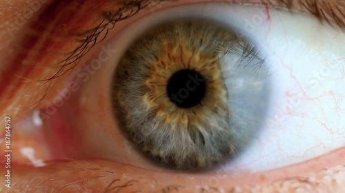 Extreme close up human eye.
