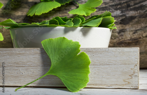 Collected medicinal leaves of the Ginkgo biloba tree in a bowl on the table wooden