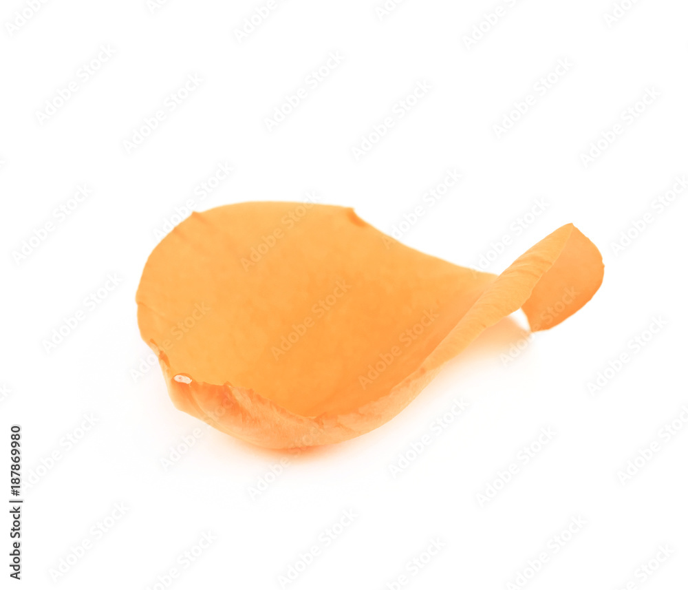 Yellow rose petal isolated Yellow rose petal isolated