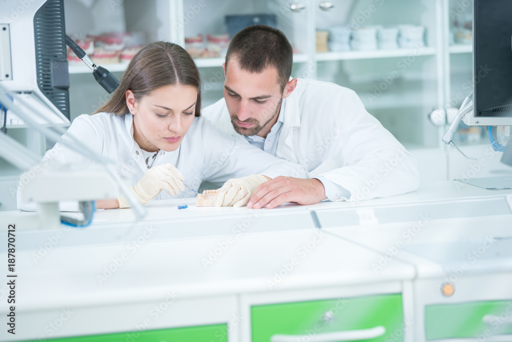 Obraz premium Future dentists, mentors and health technicans in training