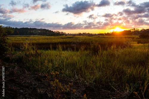 landscape of south carolina low country marsh at sunrise with clouday sky