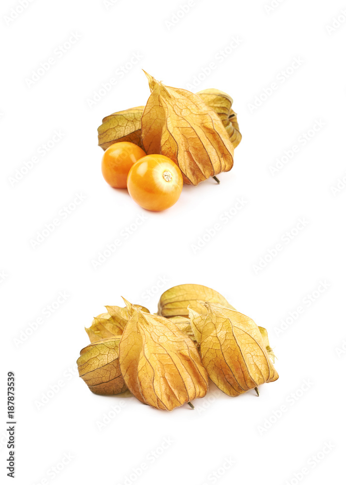 Composition of couple physalis fruits