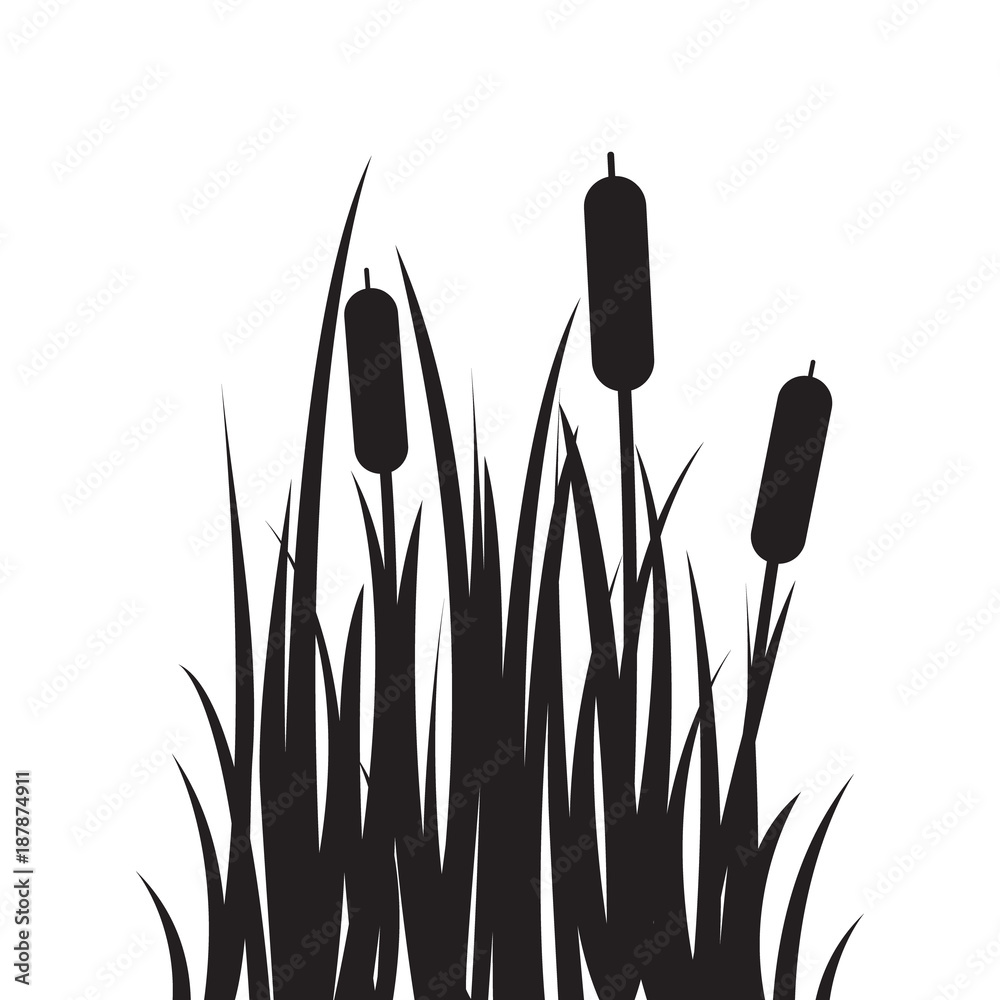 Carved silhouette flat icon, simple vector design. Cartoon grass with  bulrush. Illustration for nature, flora, water plant, landscape and swamp  Stock Vector | Adobe Stock
