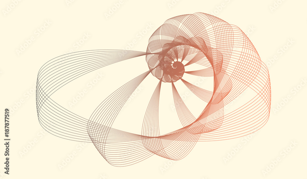 Tableau sur toile wired nautilus in brown shades on ivory