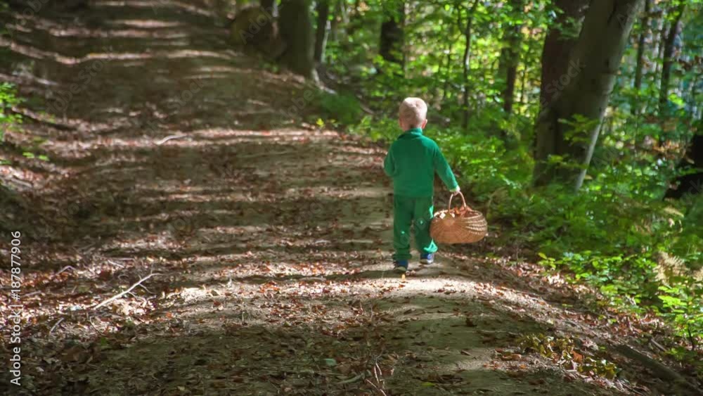 A small boy is running with a wooden basket on a forest path. It's a nice day and it's autumn time. A small boy is running with a wooden basket on a forest path. It's a nice day and it's autumn time.