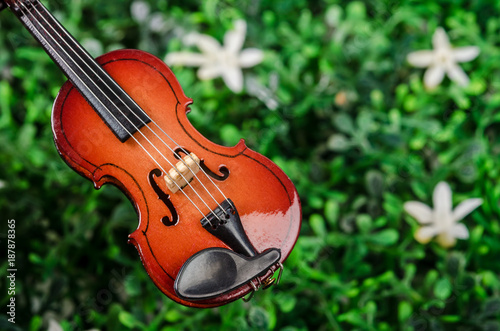 Violin on green grass.