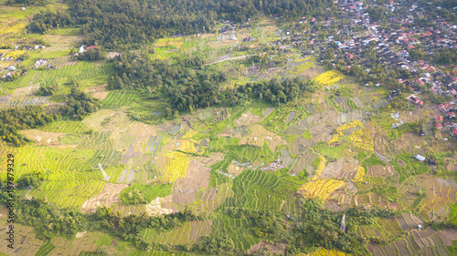  Rice field parts divided to plots by water channels and pathways,aerial shot, West Sumatra,Maninjau lake area,Indonesia