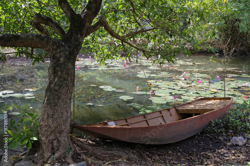 Barque auprès d'un arbre sur un ruisseau vitenamien