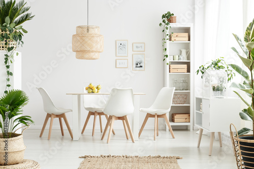 Fotografie, Obraz Plants in white dining room
