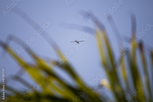 Plane among nature