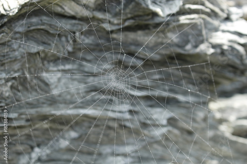 Toile d'araignée sur un rocher