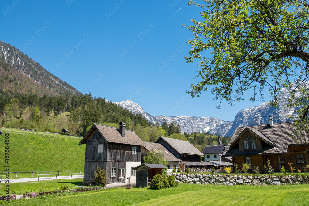 Several wooden huts on a green meadow