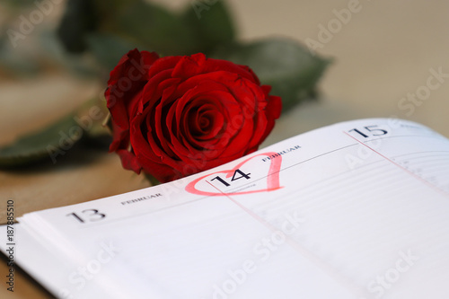 Valentinstag im Kalender mit einem Herz markiert und rote Rose im Hintergrund