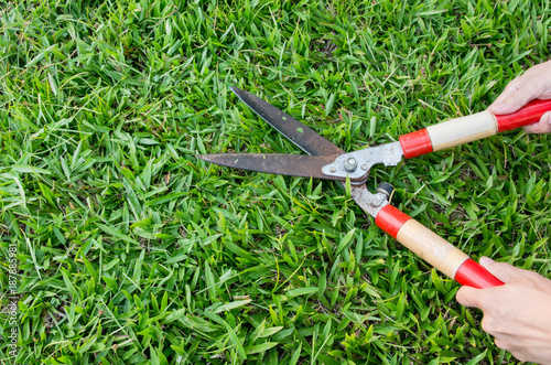 Man Hand holding scissors and cutting green grass in the garden