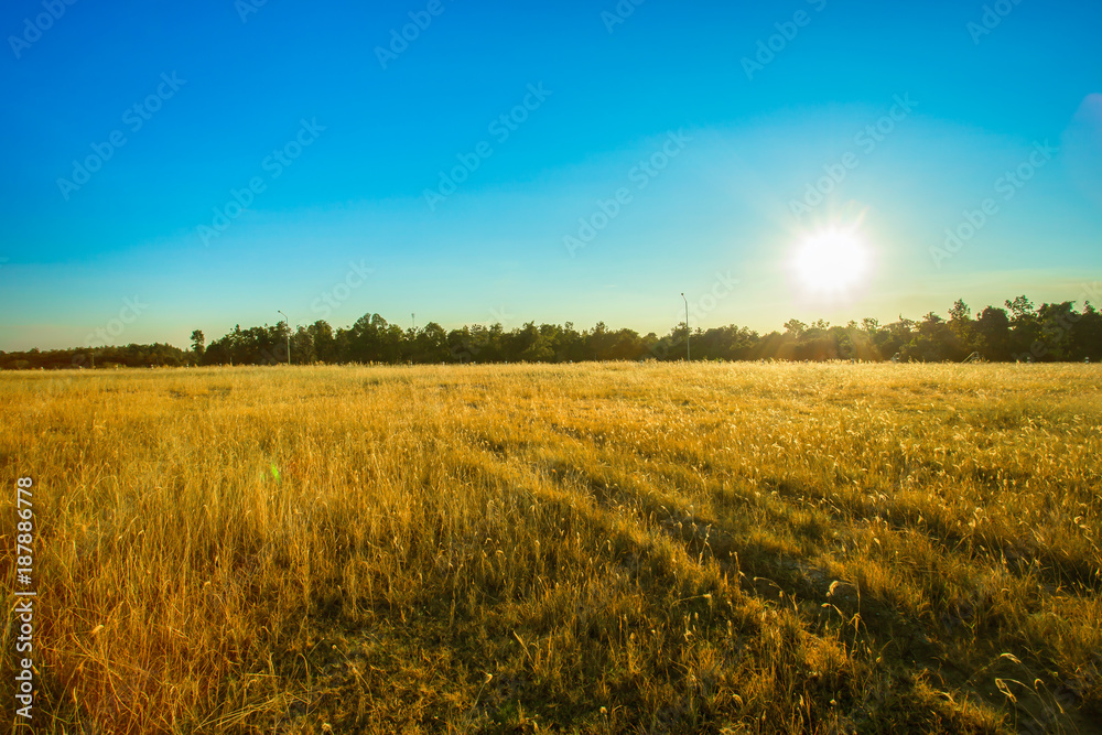 Sunrise - Dawn, Field, Sun, Farm, Sky