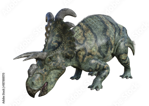 3D Rendering Dinosaur Albertaceratops on White