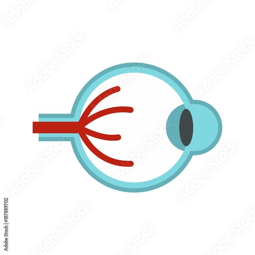 Eye anatomy icon, flat style