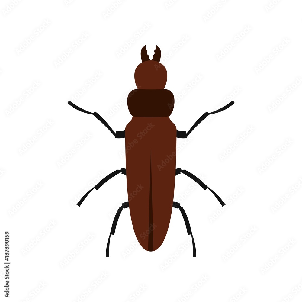 Cockroach icon, flat style Cockroach icon, flat style