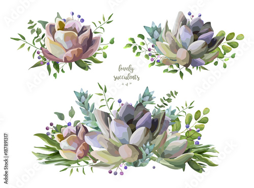 Succulent flower plant watercolor hand drawn beautiful bouquet s photo